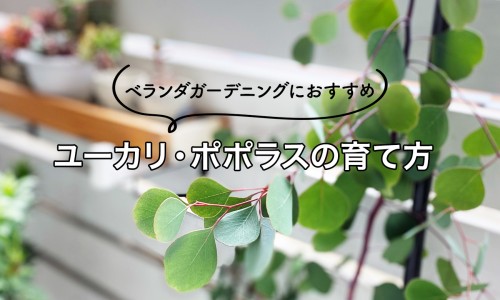 肚子脂肪厚减脂增肌-专业肚子脂肪多怎么办平台-肚子脂肪多怎么办